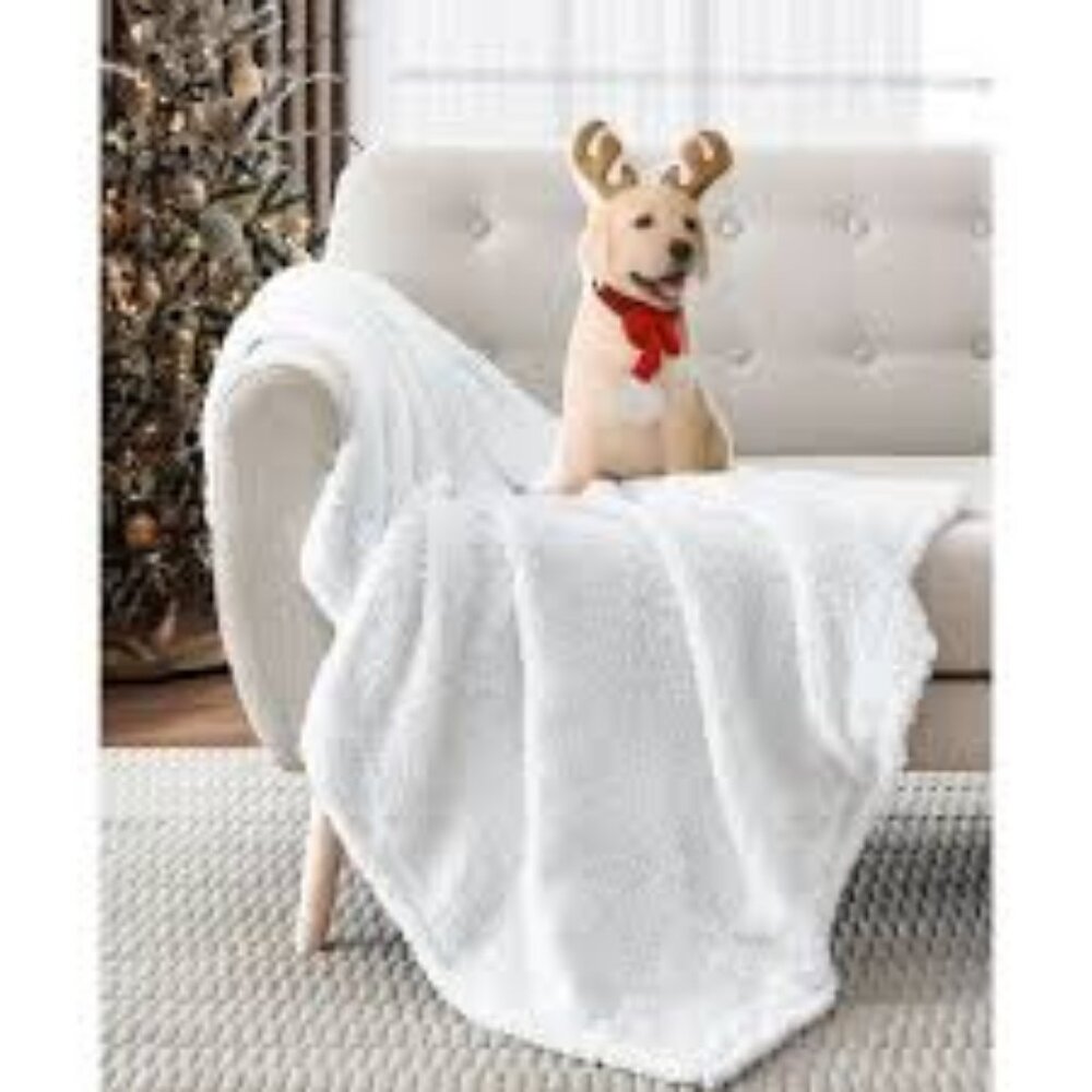 *CLOSE OUT*  Lacourte Lucky Ears Pet Pillow, 12" x 18" - 4872 - NEW